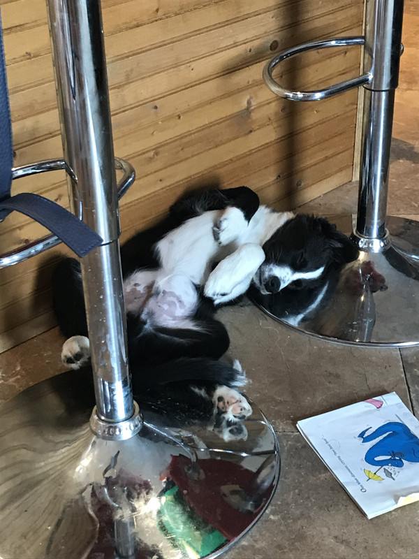 5A2A257F-DC5D-436A-90A6-18B185DF916F