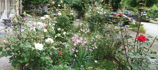 IMG_20230527_082500