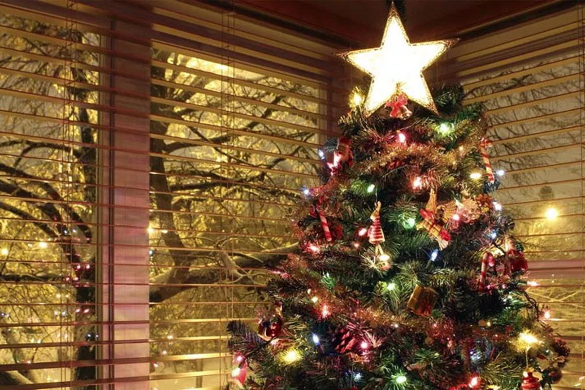 Oltre il Cristianesimo: l'origine dell'Albero di Natale
