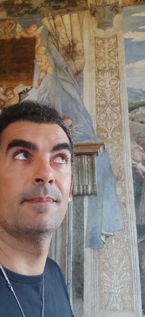 Pizcas de arte en Venecia, Mantua, Verona, Padua y Florencia - Blogs de Italia - Mantua, La Cámara de los esposos, Verona y dormir en Florencia. (30)