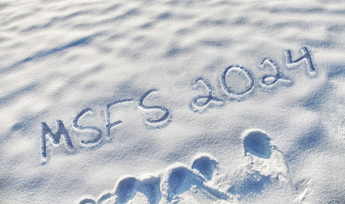 Photo-Funia-1731517908-MSFS-2024-snow-ef