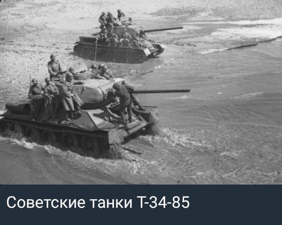 https://i.postimg.cc/Prv3dKkM/photo-2026-07-19-17-46-43.jpg