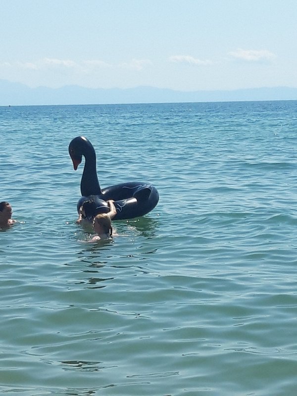 Slika