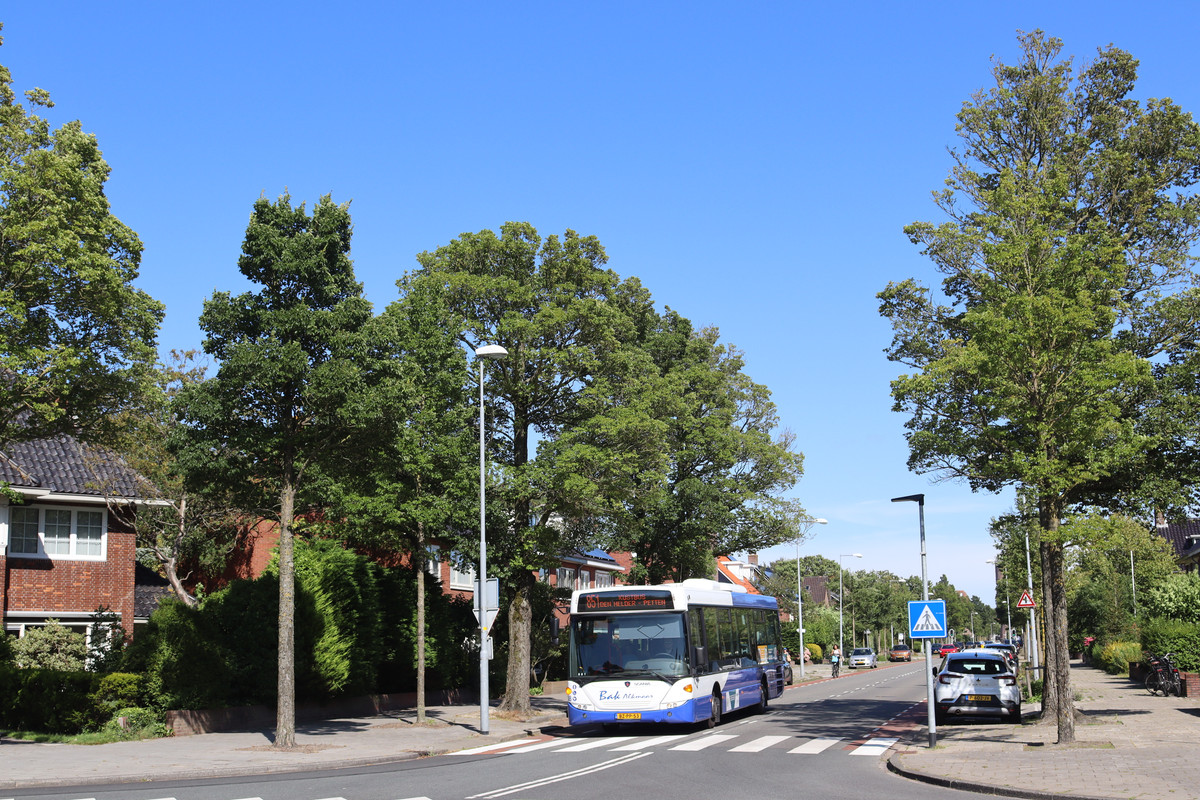 TXL (11)