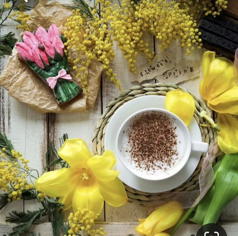 Screenshot_20230409_212248_Pinterest