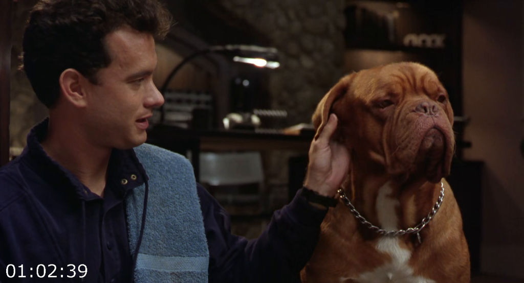 [Kép: Turner-And-Hooch-1989-1080p-WEB-HEVC-BONE-F.png]