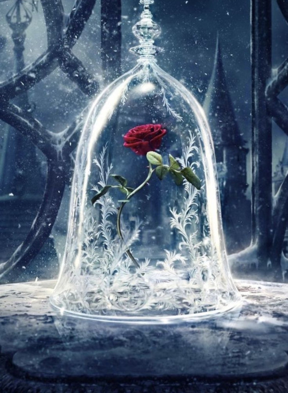 Screenshot_20221213-225900_Chrome