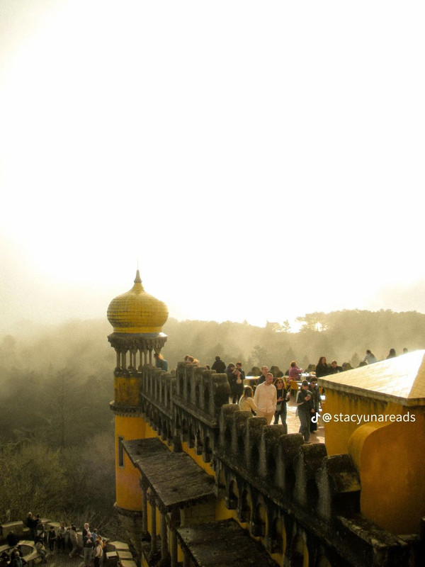 photo 1 2026 01 10 15 57 53