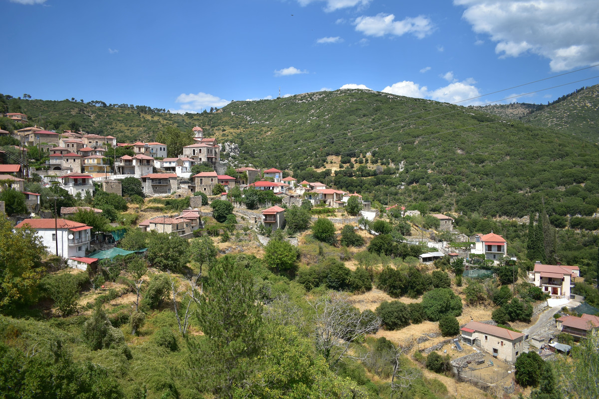 Αγριάνοι (6)