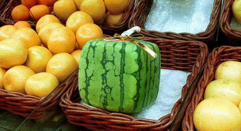 Sandia-cuadrada-japonesa2