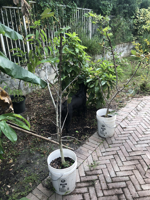 1AFAE957-B75E-4951-BB90-229ADDF1180D