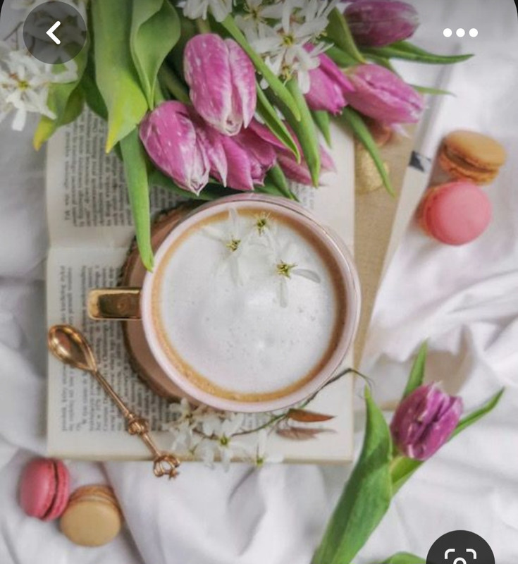 Screenshot_20230712_010834_Pinterest