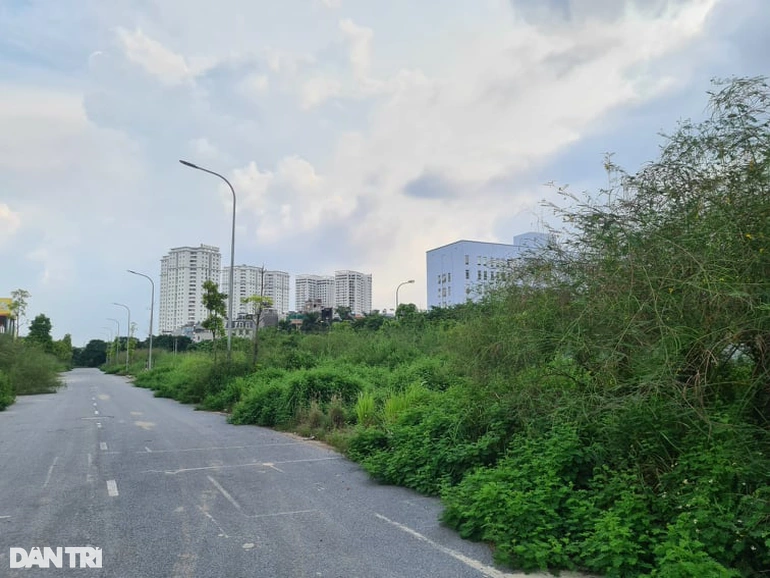 Đất khu đấu giá Tứ Hiệp (Thanh Trì)
