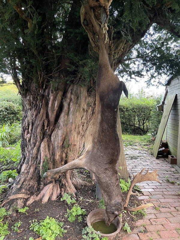 8F0514DB-BEEF-47EF-AC52-7A0ABA308B4E