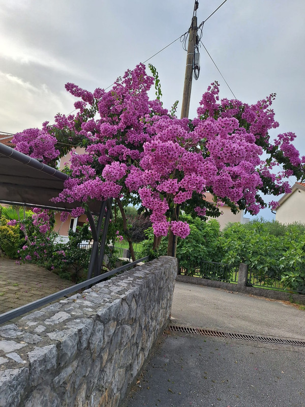 451827384-3722990184685627-8833459658420630763-n