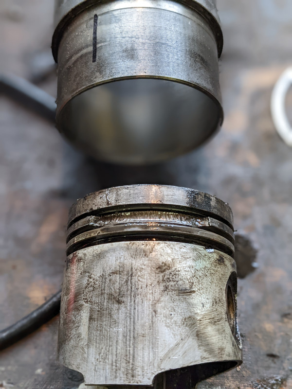 PXL_20221126_141619909.PORTRAIT