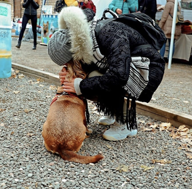 29D68D36-1A74-420E-B530-FAB9F8E65A9D