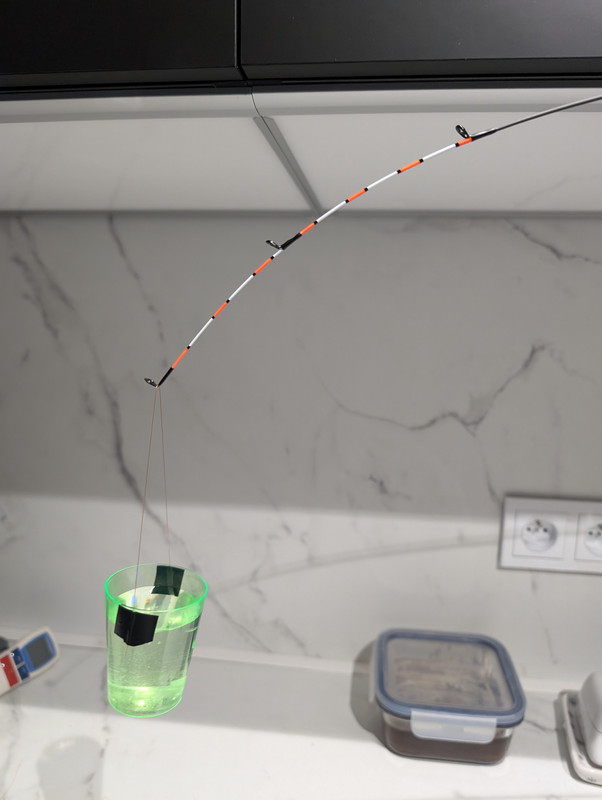 PXL 20260212 145045026