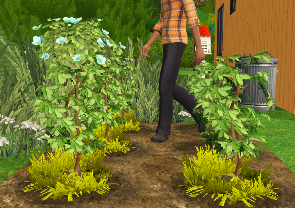 Sims2-EP9-RPC-2021-11-20-13-34-42-75