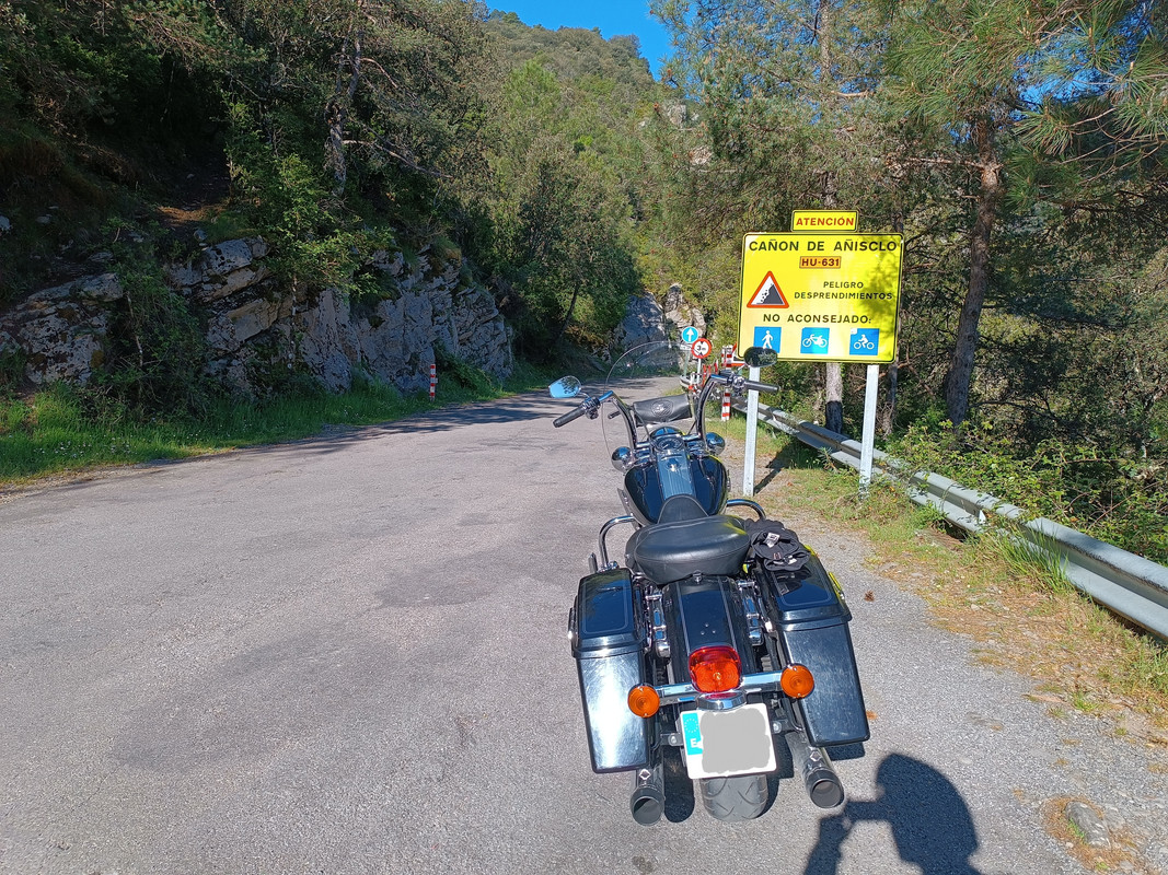 IMG-20250428-092441-copia.jpg