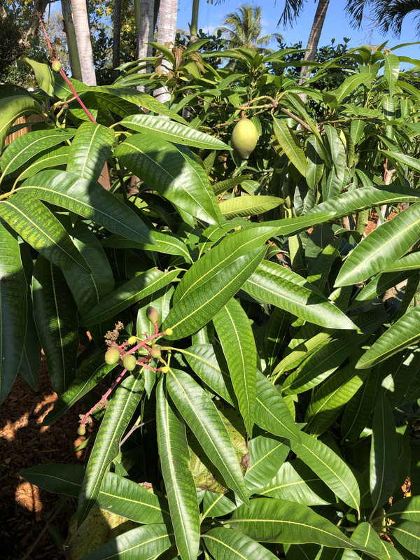 F57A9EE3-077C-4E88-95DB-BF47E4B791EB