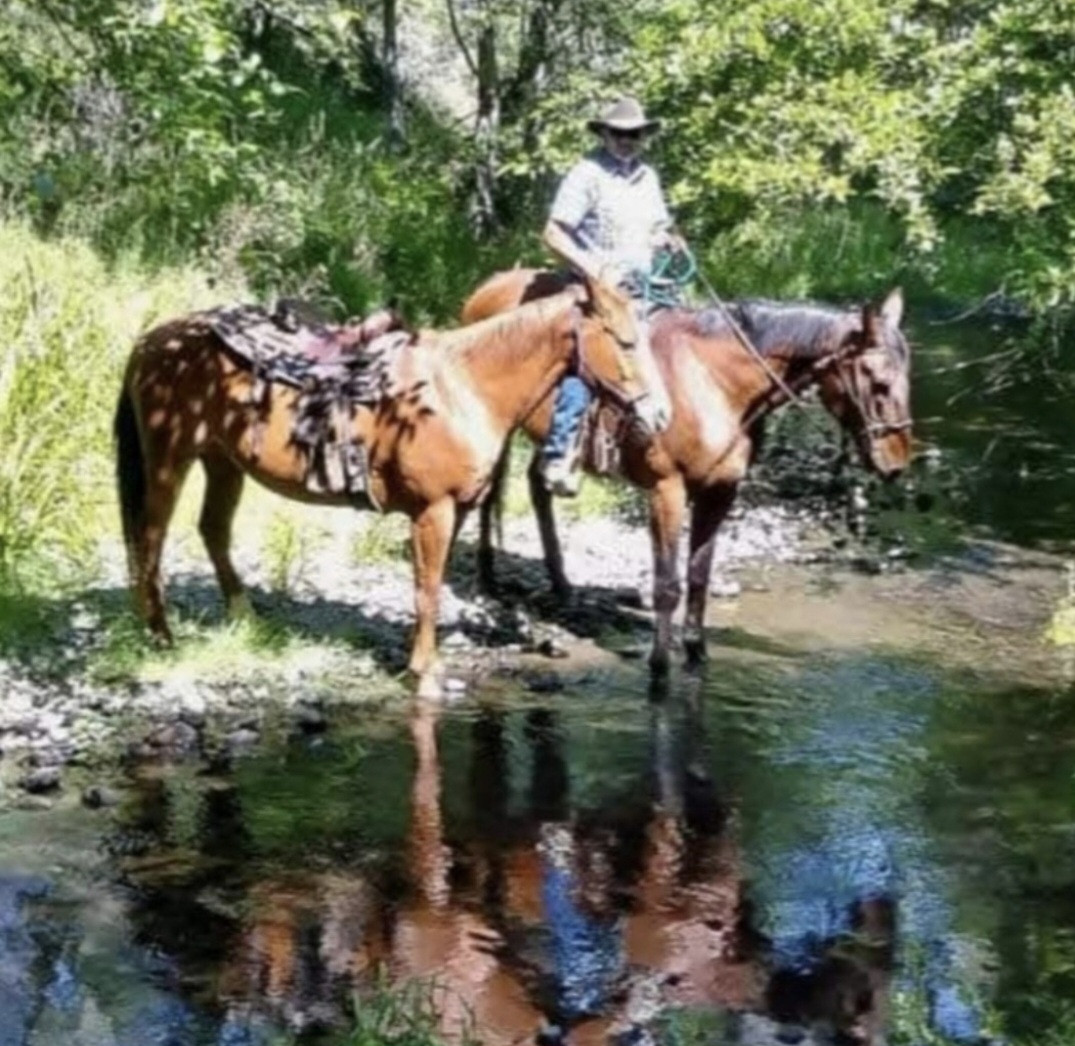 Screenshot 20260311 142346 Gallery