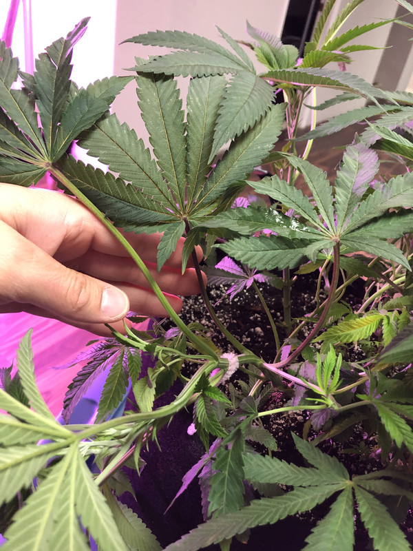 34B17625-6679-4BF9-B4D5-AD35A3CCA586