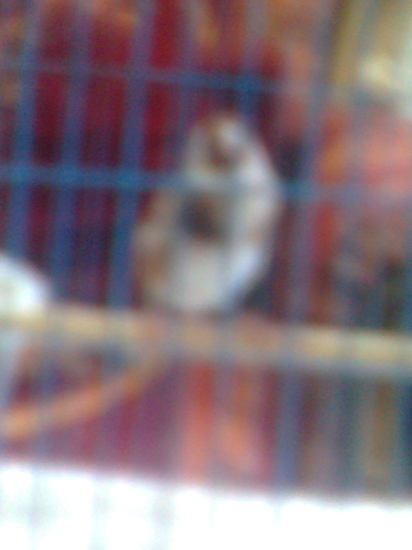 صورة??٤?