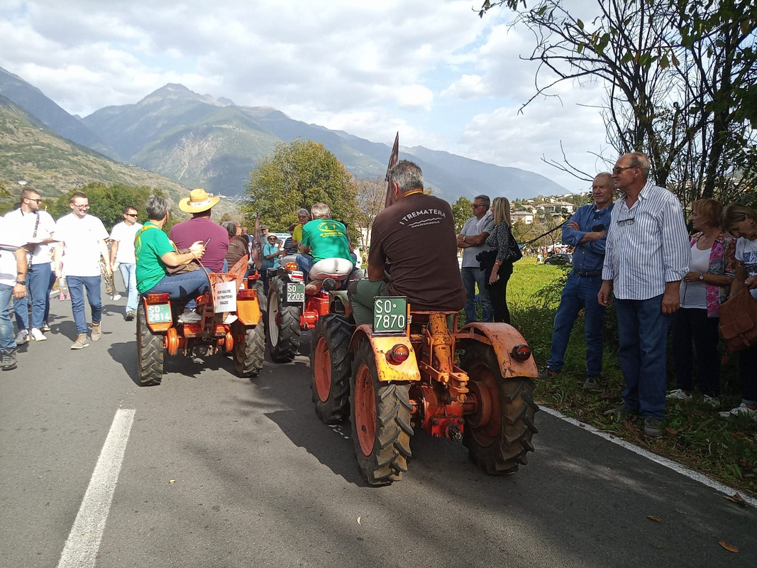 Scargaamuut 2023 (18)