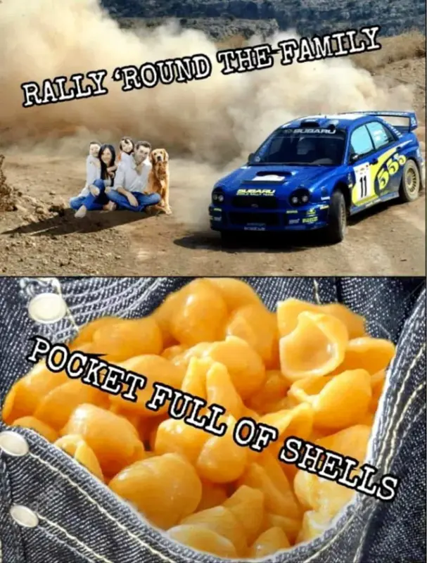 rally-round-the-family-v0-hNZnNBfTur5GK7XAs6z-u7E6ILtVkfzYeekI8mKSFY4