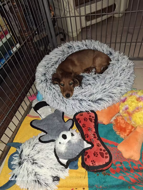 [Image: 20240925-221849.avif]