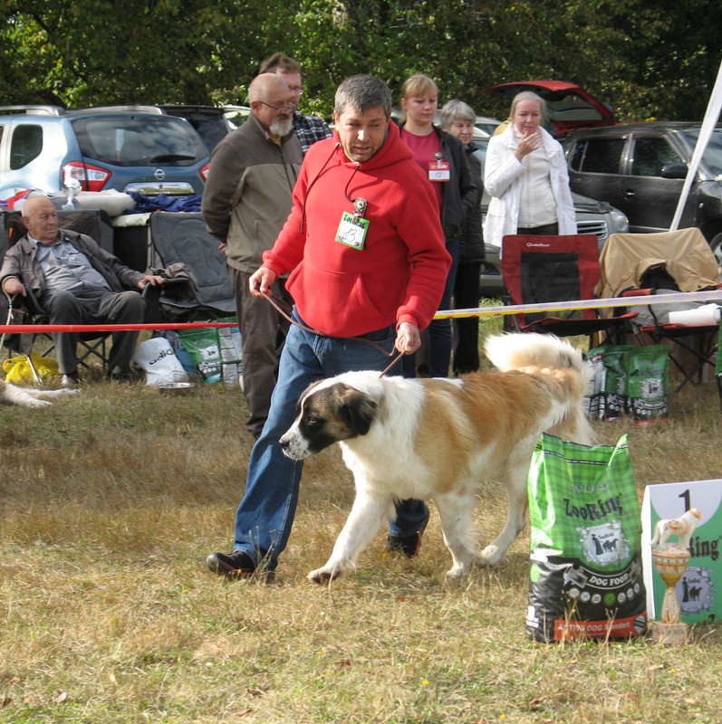 013 СКАЗОЧНОГО ПОЛКА КАЛИНА