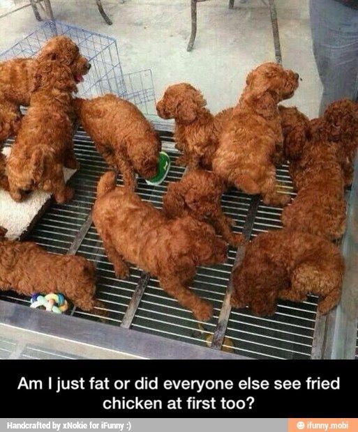 E1EAFDAF-0E8B-435F-9CAB-49F47DDBBA8A