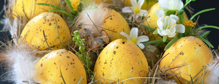 00049492-d9lp24z1xx-729