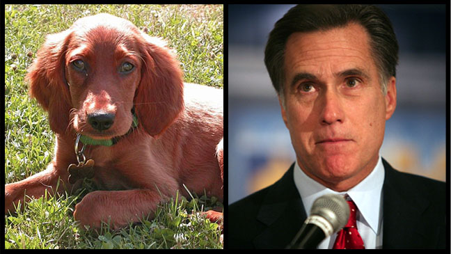 mitt-romney-dog