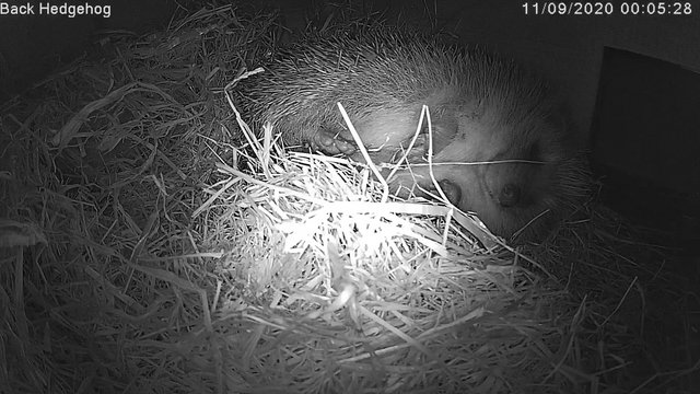 6B417B0E-985A-4F78-81F2-15BE0796C8F4