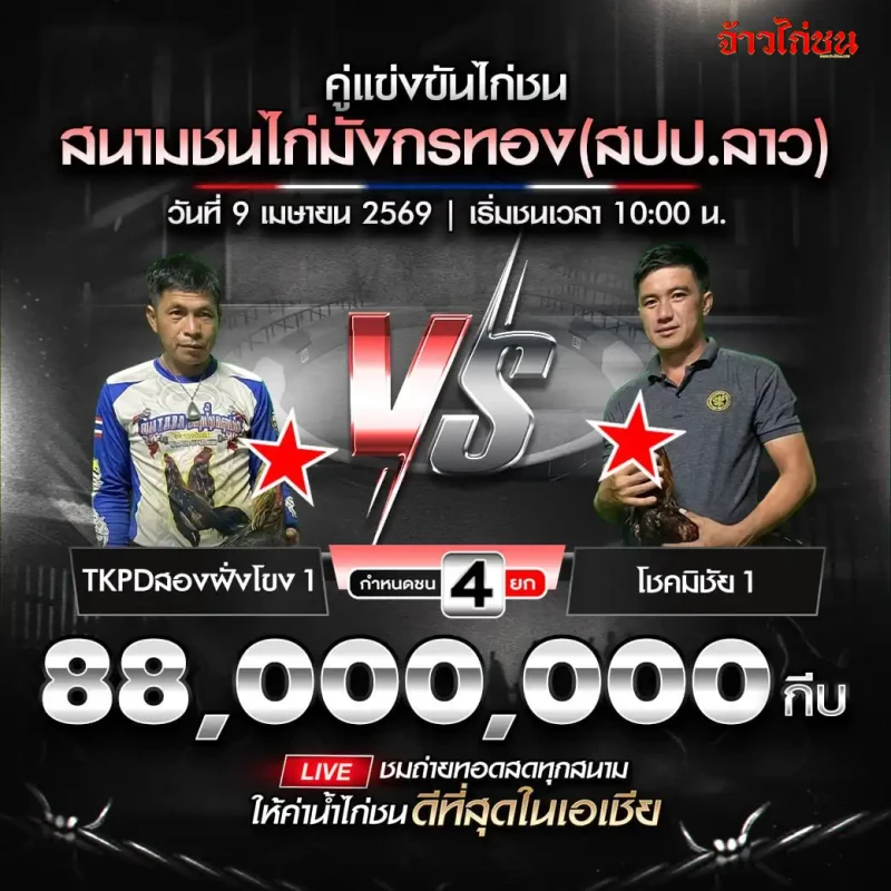 โปรแกรมไก่ชน สนามชนไก่มังกรทอง 9 เมษายน 2569 TKPDสองฝั่งโขง 1 vs โชคมีชัย 1