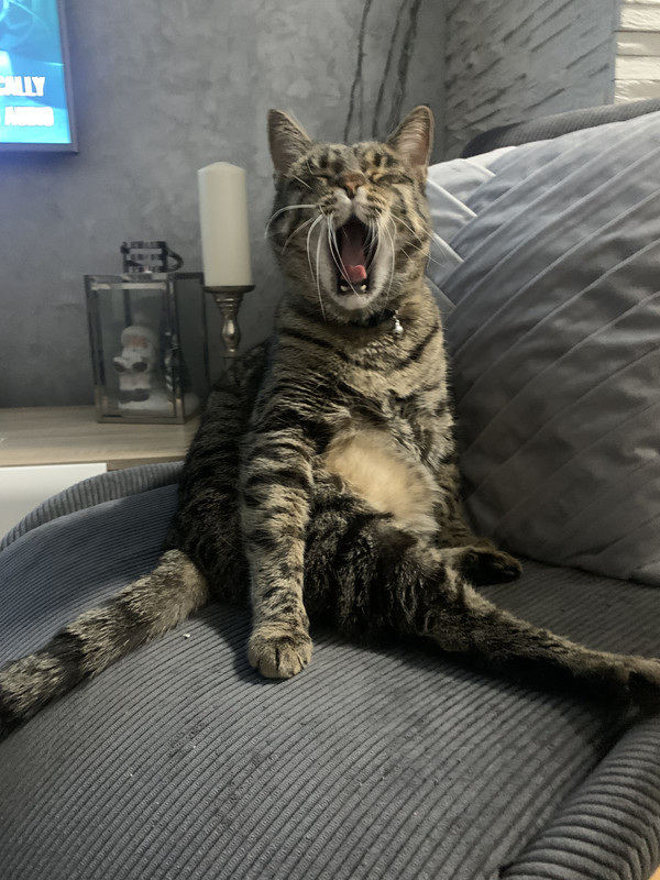 0A5FB4F3-076A-41F9-8643-67E791280D6F