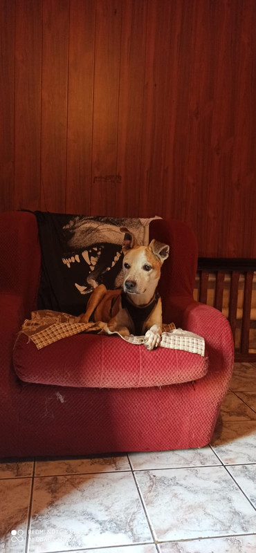 2DD163E0-31CD-4508-A812-CE92D1125776