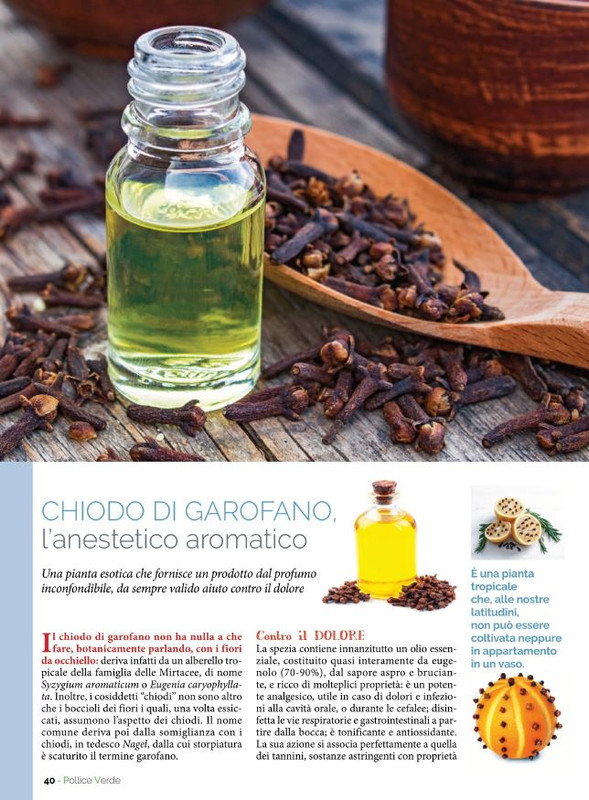 Pol Ver Nov-Dic 2022 (7)