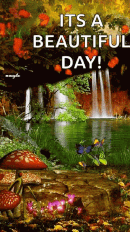 An den Beitrag angehängtes Bild: https://i.postimg.cc/PrzBN6dT/oie-1381556-XBAcq-TCd.gif