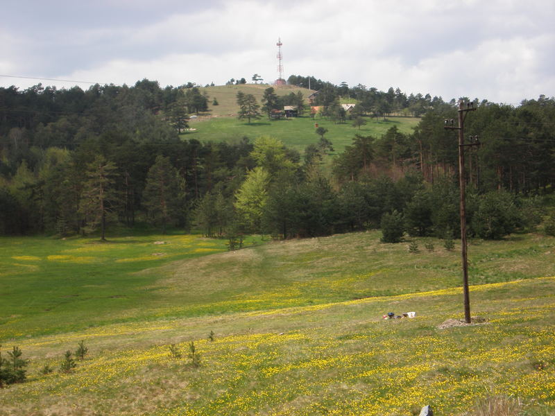 Slika