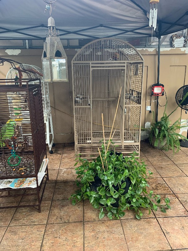 image6(1)_copy_604x805