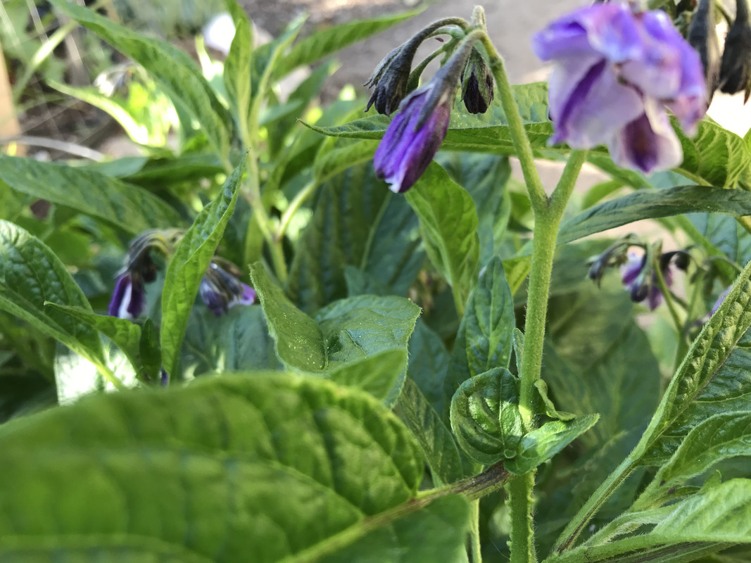 802752AF-9C57-4250-9DE3-A988DAF631B3