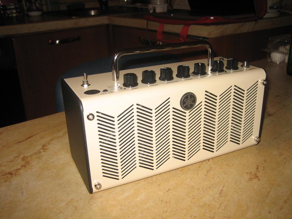 Yamaha THR5 010