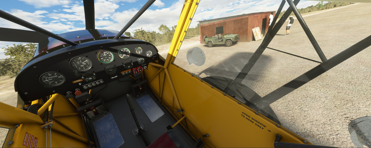 Savage-Cub-19.jpg