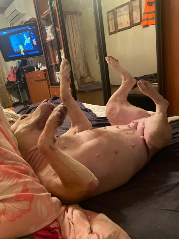 7DF6BF61-7681-4055-8E0A-70A05E851CD8