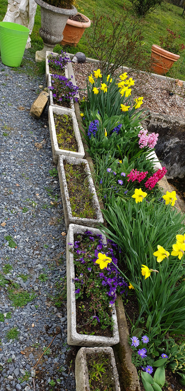 [Image: 20230323-144435.jpg]