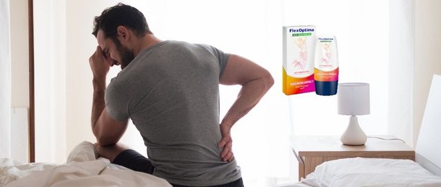 FlexOptima Какво експерти смятат,