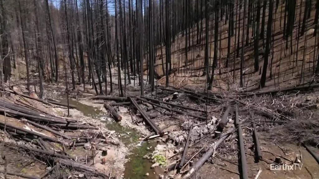 [Image: wt5ab04cen5p.jpg]